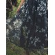 SINCE THEN SIN CE THEN Women's Sexy / Boho Floral Swing Dress,Strapless Maxi Polyester